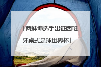 两蚌埠选手出征西班牙桌式足球世界杯